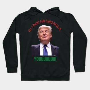 All I Want For Christmas is Trump Hoodie